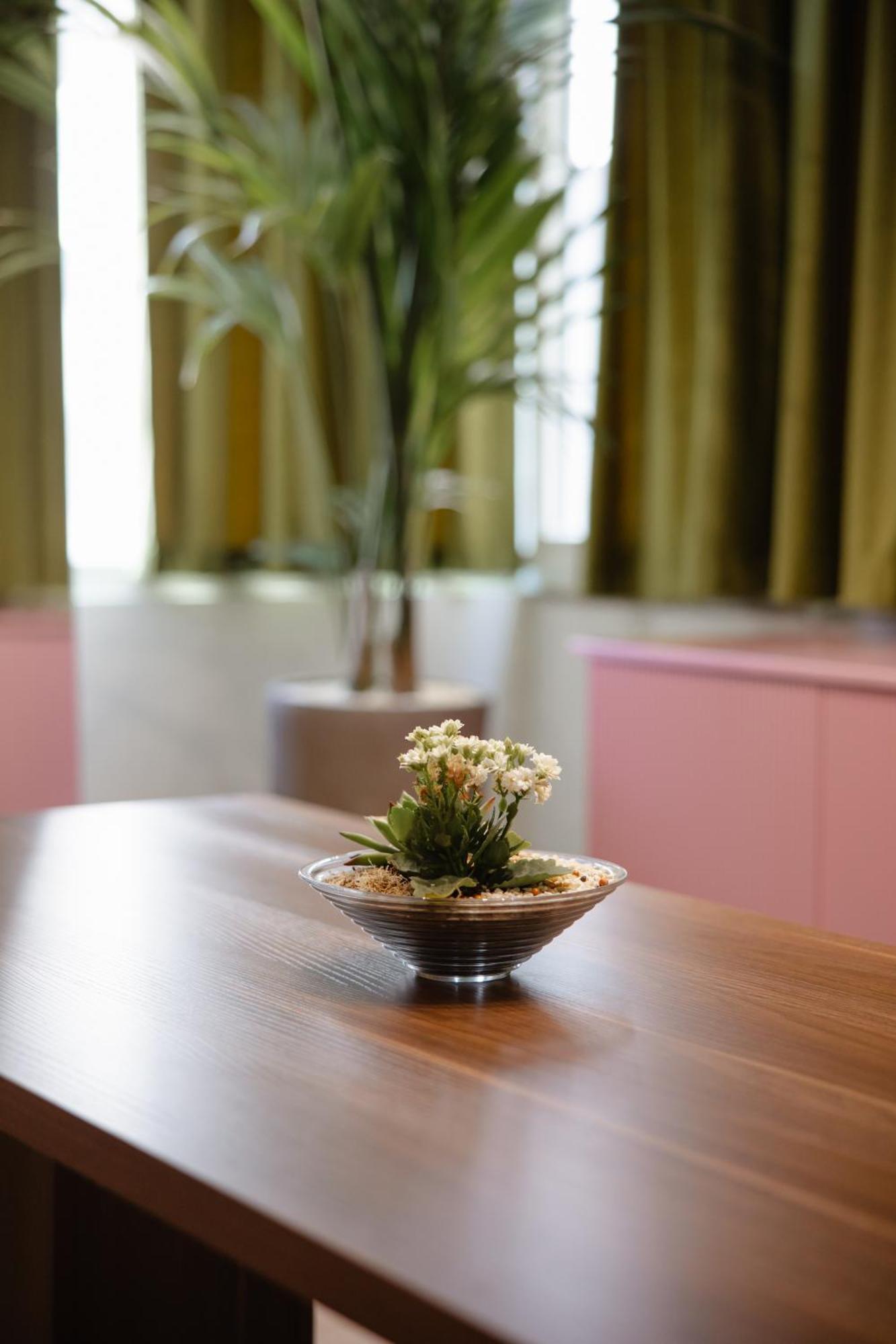 Corner Hostel Szkodra Zewnętrze zdjęcie